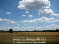 Elberadweg | Deutschland | Sachsen-Anhalt | Zwischen Dessau und Aken | Biosphärenreservat Mittelelbe |