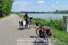 Rheinradweg | Frankreich | Elsass | Bas-Rhin | Beinheim | Rhein |