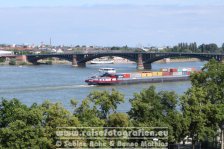 Rheinradweg | Deutschland | Rheinland-Pfalz | Mainz | Rhein | Theodor-Heuss-Brücke |