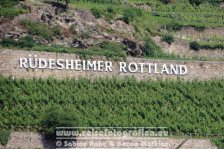 Rheinradweg | Deutschland | Hessen | Rüdesheim |