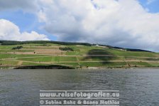 Rheinradweg | Deutschland | Hessen | Rüdesheim | Rhein |