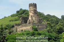 Rheinradweg | Deutschland | Rheinland-Pfalz | Rheindiebach | Burg Fürstenberg |