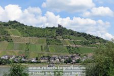 Rheinradweg | Deutschland | Hessen | Lorch | Ruine Nolling |