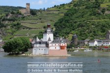 Rheinradweg | Deutschland | Rheinland-Pfalz | Kaub | Zollburg Pfalzgrafenstein |