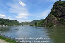 Rheinradweg | Deutschland | Rheinland-Pfalz | Rhein | Loreley |