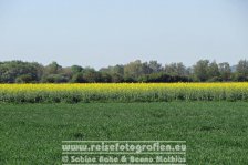 Weserradweg | Deutschland | Niedersachsen | Holtorf |