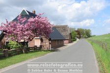 Weserradweg | Deutschland | Niedersachsen | Berne / Bettingbühren |