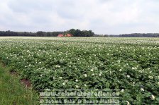 Flandernradweg | Belgien | Flandern | Provinz Limburg |