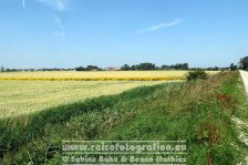 Nordseeküsten-Radweg | Niederlande | Provinz Zeeland |