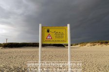 Nordseeküsten-Radweg | Niederlande | Provinz Südholland | Hoek van Holland |