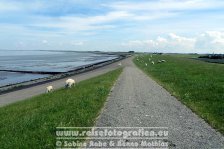 Nordseeküsten-Radweg | Niederlande | Provinz Friesland | Harlingen |