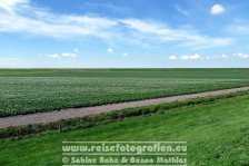 Nordseeküsten-Radweg | Niederlande | Provinz Friesland |