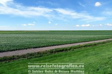 Nordseeküsten-Radweg | Niederlande | Provinz Friesland |