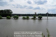 Main-Radweg | Deutschland | Hessen | Mainz-Kastel | Mündung des Main in den Rhein |