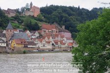 Neckartal-Radweg | Deutschland | Baden-Württemberg | Hirschhorn | Neckar |