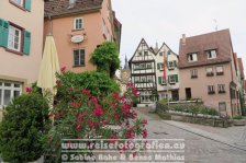 Neckartal-Radweg | Deutschland | Baden-Württemberg | Bad Wimpfen |