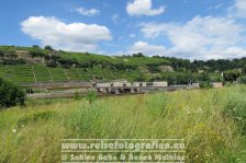 Neckartal-Radweg | Deutschland | Baden-Württemberg | Neckar bei Poppenweiler |