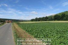 Taubertalradweg | Deutschland | Bayern | Tauberrettersheim | Taubertalradweg |