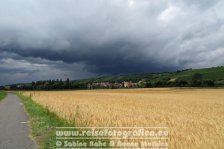 Von München nach Bielefeld | Deutschland | Bayern | Bei Ochsenfurt |