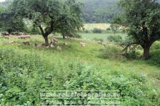 Von München nach Bielefeld | Deutschland | Nordrhein-Westfalen | Weserradweg |