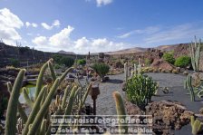 Spanien | Kanaren | Lanzarote | Guatiza | Jardín de Cactus |