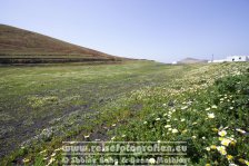 Spanien | Kanaren | Lanzarote | Frühling |