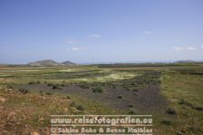 Spanien | Kanaren | Lanzarote | Frühling |