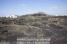 Spanien | Kanaren | Lanzarote | La Geria |