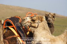 Spanien | Kanaren | Lanzarote |