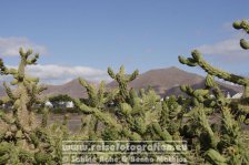 Spanien | Kanaren | Lanzarote | Playa Blanca |