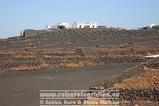 Spanien | Kanaren | Lanzarote | La Geria |