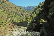 Spanien | Kanaren | Provinz Santa Cruz de Tenerife | La Palma | El Paso | Caldera de Taburiente | Barranco de las Angustias |