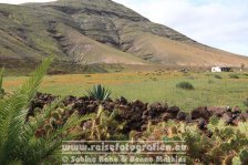 Spanien | Kanaren | Provinz Las Palmas | Lanzarote | Yaiza |