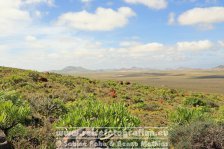 Spanien | Kanaren | Provinz Las Palmas | Lanzarote | Bei Caleta de Famara |