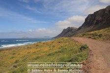 Spanien | Kanaren | Provinz Las Palmas | Lanzarote | Bei Caleta de Famara |