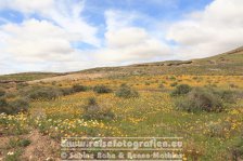 Spanien | Kanaren | Provinz Las Palmas | Lanzarote | Bei Teseguite |