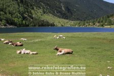 Spanien | Pyrenäen | Cataluña | Barruera | Parque Nacional Aigüestortes |