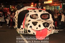 Spanien | Kanaren | Provinz Las Palmas | Lanzarote | Playa Blanca | Straßenkarneval 2011 |