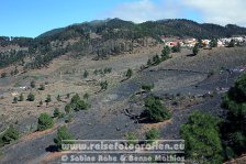 Spanien | Kanaren | Provinz Santa Cruz de Tenerife | La Palma | Fuencaliente | Vulkan San Antonio |