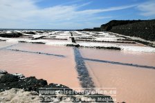 Spanien | Kanaren | Provinz Santa Cruz de Tenerife | La Palma | Fuencaliente | Salinas de Fuencaliente |