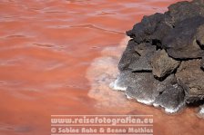 Spanien | Kanaren | Provinz Santa Cruz de Tenerife | La Palma | Fuencaliente | Salinas de Fuencaliente |