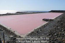 Spanien | Kanaren | Provinz Santa Cruz de Tenerife | La Palma | Fuencaliente | Salinas de Fuencaliente |