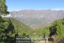 Spanien | Kanaren | Provinz Santa Cruz de Tenerife | La Palma | El Paso | Caldera de Taburiente |