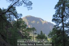 Spanien | Kanaren | Provinz Santa Cruz de Tenerife | La Palma | El Paso | Caldera de Taburiente |