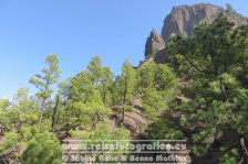 Spanien | Kanaren | Provinz Santa Cruz de Tenerife | La Palma | El Paso | Caldera de Taburiente |