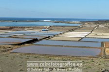 Spanien | Kanaren | Provinz Las Palmas | Lanzarote | Salinas del Janubio |