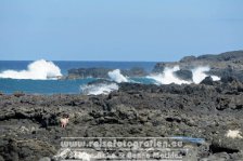 Spanien | Kanaren | Provinz Las Palmas | Lanzarote | El Golfo |