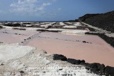 Spanien | Kanaren | Provinz Santa Cruz de Tenerife | La Palma | Fuencaliente | Salinas de Fuencaliente |