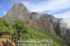 Spanien | Kanaren | Provinz Santa Cruz de Tenerife | La Palma | El Paso | Caldera de Taburiente | La Cumbrecita |