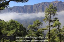 Spanien | Kanaren | Provinz Santa Cruz de Tenerife | La Palma | El Paso | Caldera de Taburiente | La Cumbrecita |